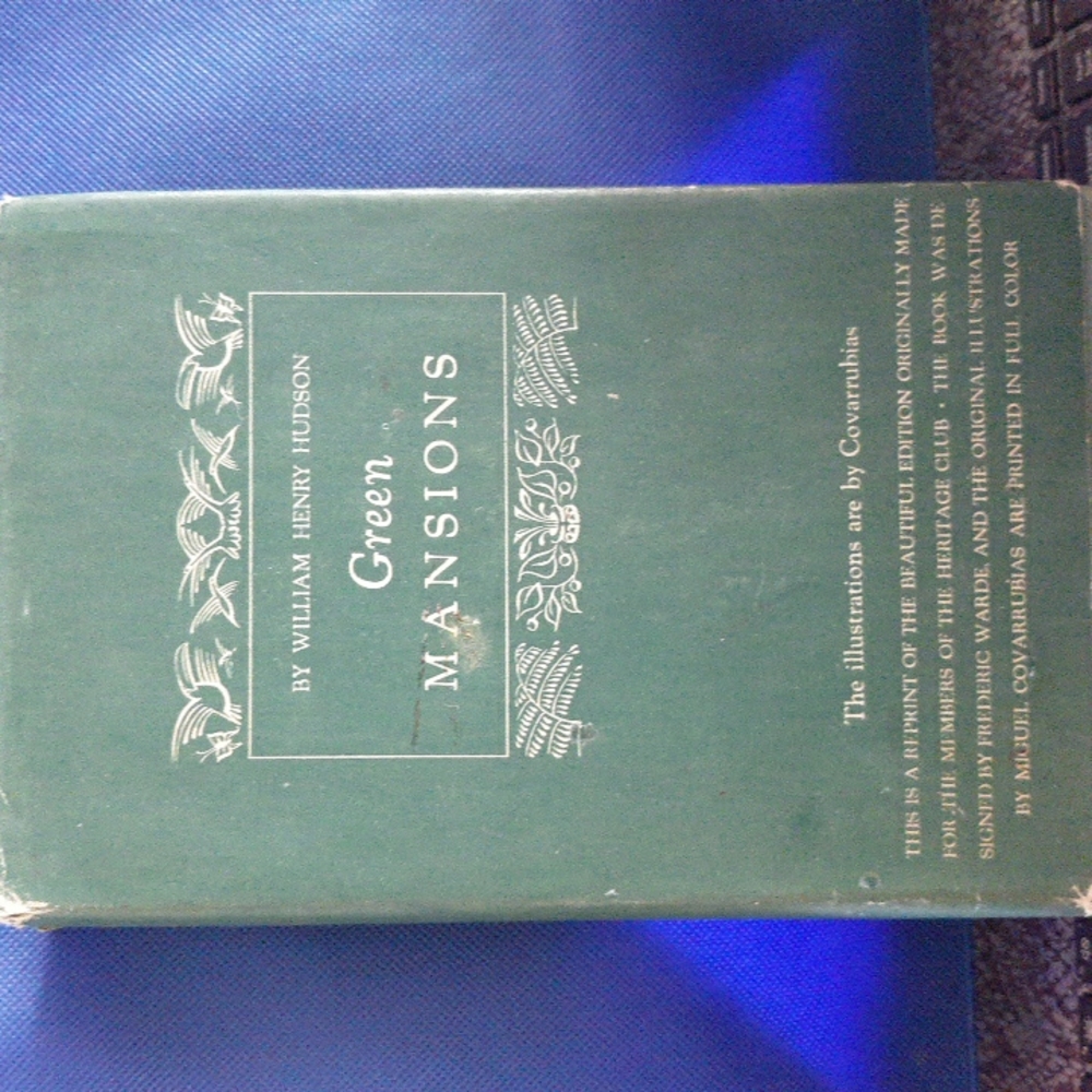 A vintage book by William Henry Hudson.